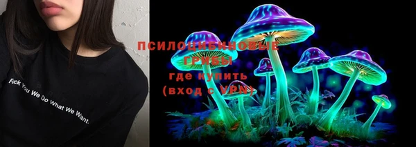 соль курить ск Белокуриха