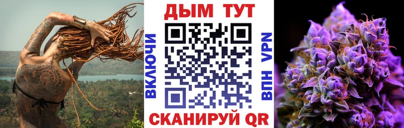 Канабис гибрид  Курильск 
